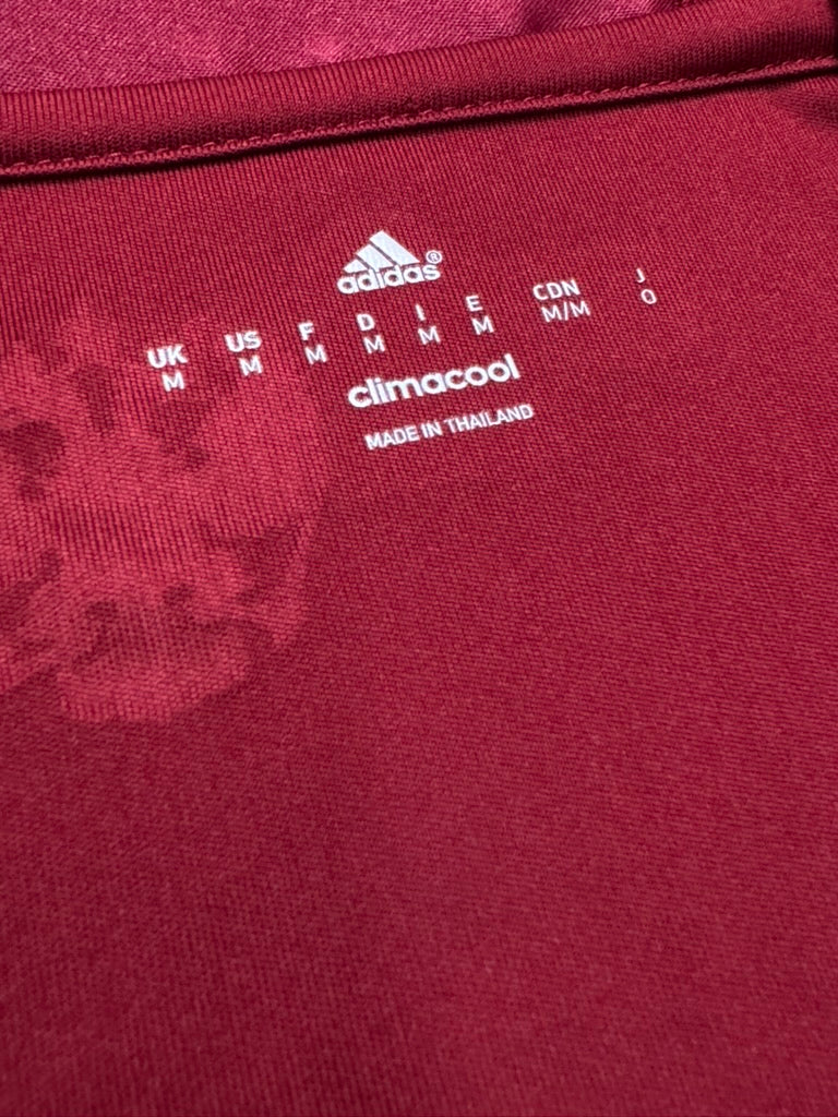 2016/18 Russia Home Size M - additional view 5